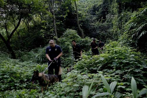 搜捕現場