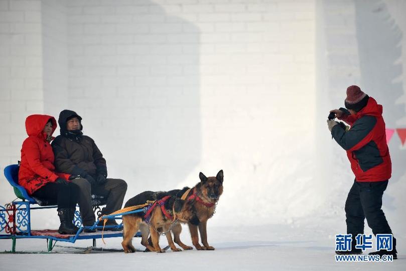 （社會(huì)）（5）冰天雪地慶新年 