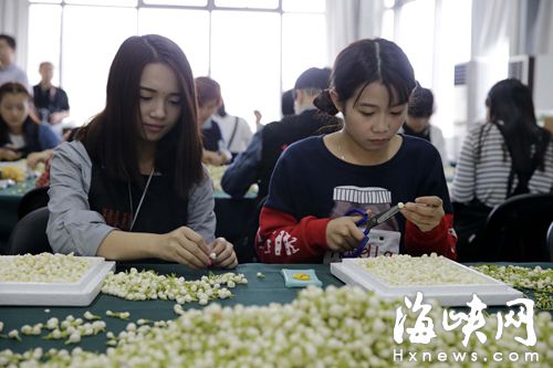 青運會茉莉花飾品，原材料都經(jīng)過精挑細選