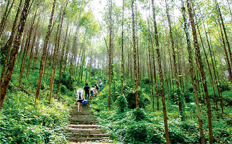 漳州市天寶鎮(zhèn)簡介 千年古鎮(zhèn)偎依九龍江背靠天寶山