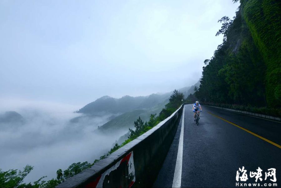 “福州最拉風山路”遠離喧囂　柳杉夾道云霧繚繞