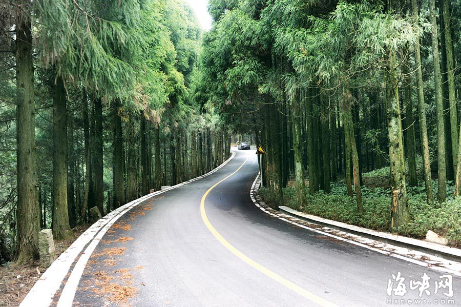 “福州最拉風(fēng)山路”遠(yuǎn)離喧囂　柳杉夾道云霧繚繞