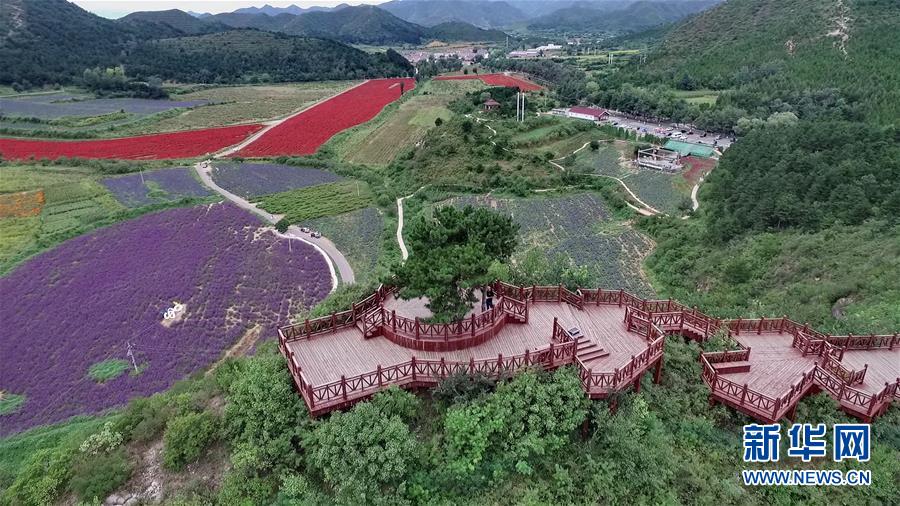 （十九大·讀報告 話民生）（10）加快生態文明體制改革，建設美麗中國